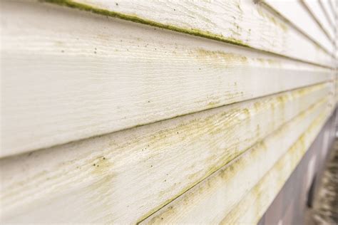 Tips for Cleaning Your Siding | Century Home Improvements