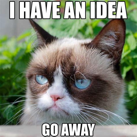 GrumpyCat.meme