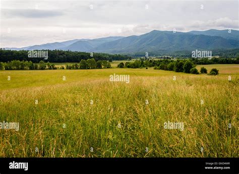 Great Smoky Mountains National Park Stock Photo - Alamy