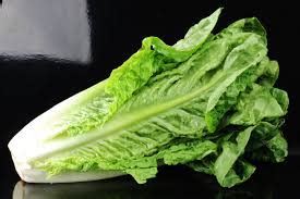 Romanian lettuce | barfblog