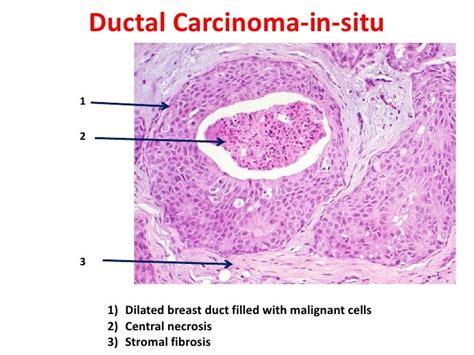 New practical histopathology