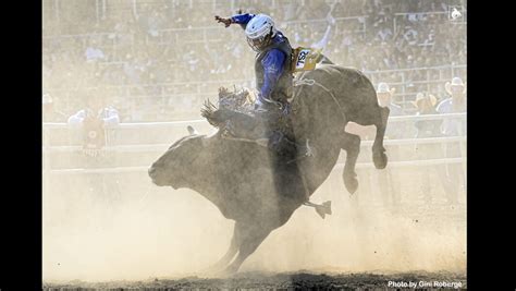 Stetson Wright Breaks All-Around, Bull Riding PRCA Regular Season Earnings Records - News