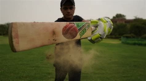 The bamboo cricket bat: All you need to know