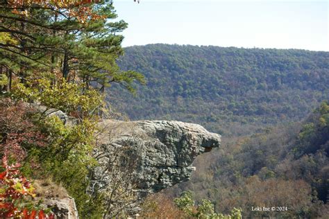 Hiking to Hawksbill Crag - The Accidental Ozarkian