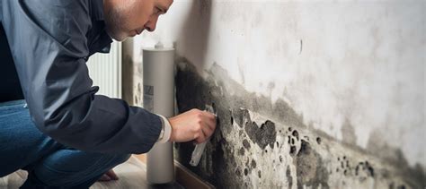 Unmasking Mold Growth: Causes in Atlanta Homes | Clymore Mold