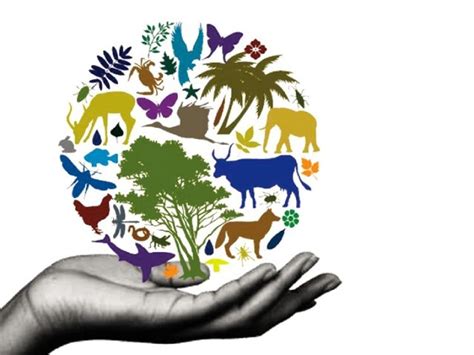 Giornata Mondiale della Biodiversità 2021 - Fondazione dieta mediterranea