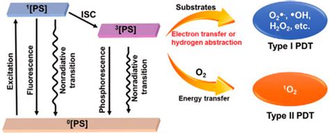 Cancers | Free Full-Text | The Current Status of Photodynamic Therapy in Cancer Treatment