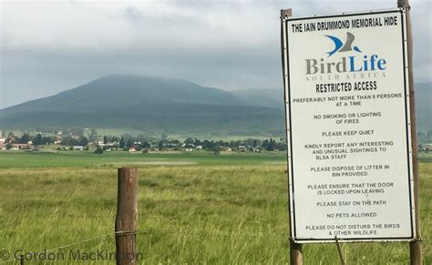 Far and Wild Safaris Blog: Wakkerstroom Birding– Jeremy Williamson