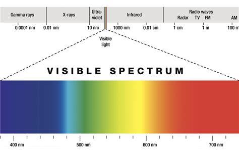 How Deep is your Light? Imaging Across the Spectrum | Possibility | Teledyne Imaging