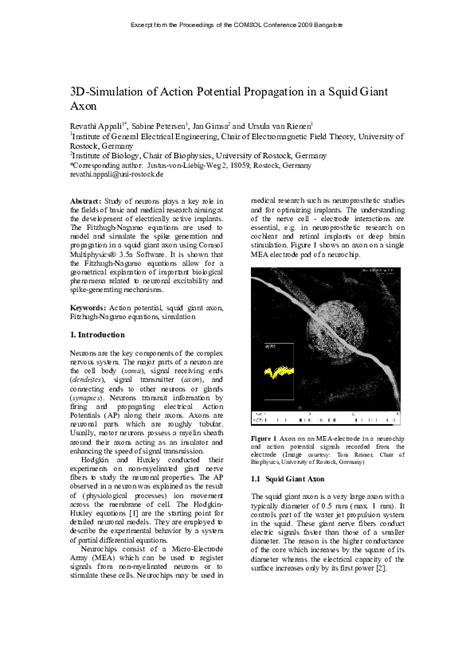 (PDF) 3D-Simulation of Action Potential Propagation in a Squid Giant Axon