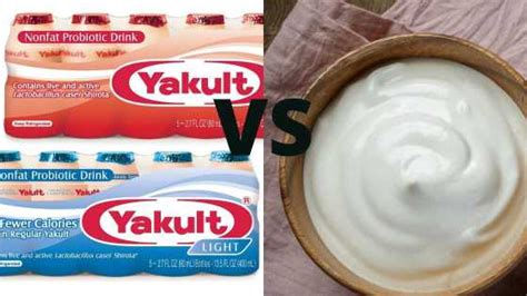 Yakult Regular vs Yakult Light vs Curd? - Is Yakult better than curd as ...