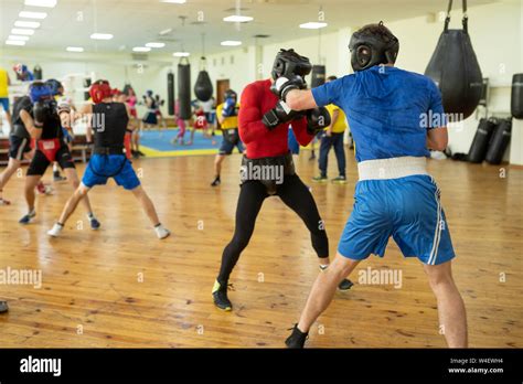 Professional boxing fighters training Stock Photo - Alamy