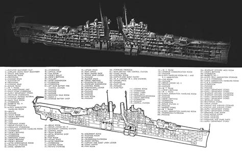 File:Cleveland-class cruiser technical drawing.png - Global wiki ...