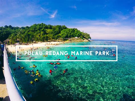 TERENGGANU: PENGALAMAN & TIPS SNORKELING DI PULAU REDANG MARINE PARK ...