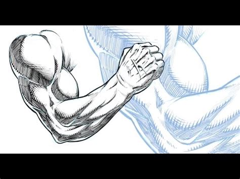 Muscle Arm Drawing at GetDrawings | Free download