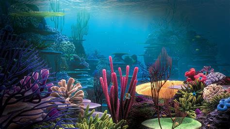 HD wallpaper: Fishes underwater, tropical, coral, reef, Ocean ...