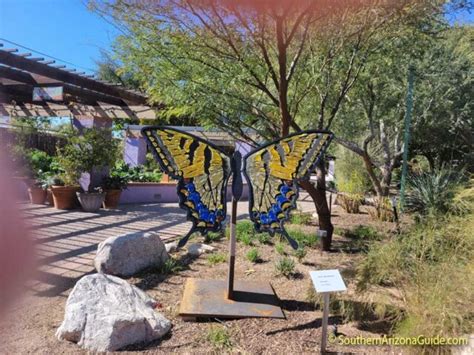 Tucson Botanical Gardens: Seeing The Invisible And Other Exhibits - SouthernArizonaGuide.com