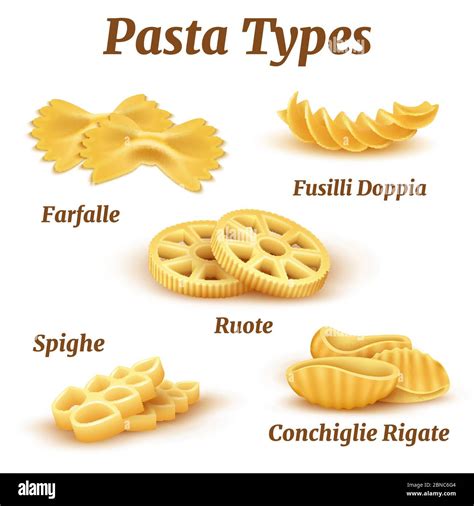 Realistic traditional italian pasta types vector set. Illustration of ...