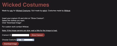 Wicked Costumes (A Community initiative) | by The Wicked Craniums | Medium