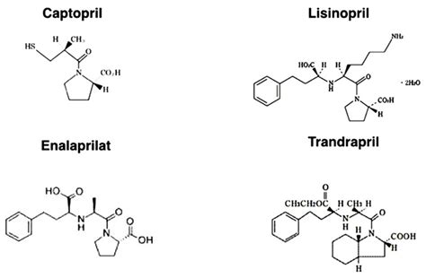 Chemical structure of ACE inhibitors. | Download Scientific Diagram