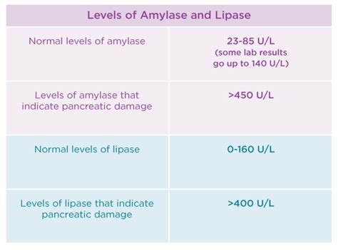 Amylase and Lipase Tests