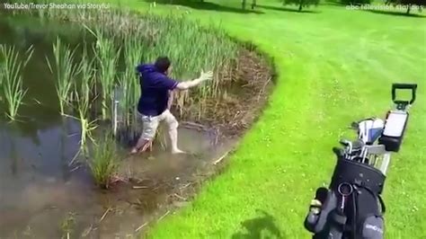 Golfer has hilarious fail while trying to hit ball out of pond - ABC7 ...