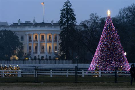 What to know about the 2021 National Christmas Tree Lighting - WTOP News