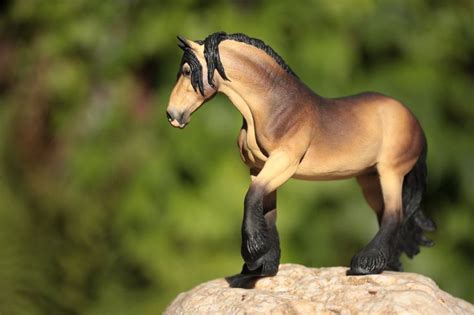 Buckskin Shire | Breyer horses, Bryer horses, Horses