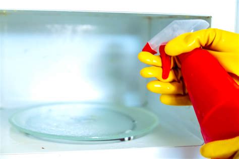 The Natural Solution to Clean Your Microwave Without Any Chemicals!