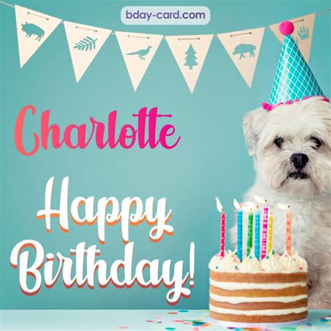 Birthday images for Charlotte 💐 — Free happy bday pictures and photos | BDay-card.com