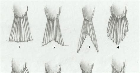 Sandy Scott Art: #419 In the studio: Bird anatomy, con't