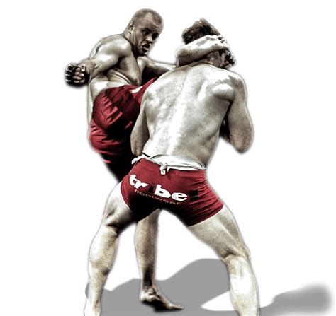 Mixed martial arts PNG, MMA PNG