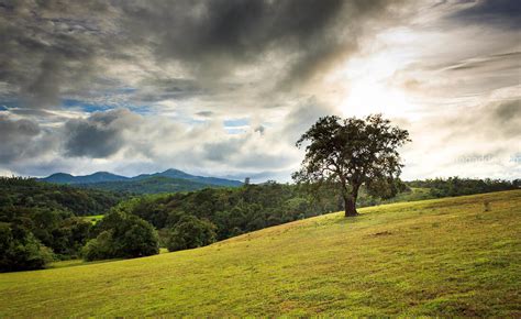 Sakleshpur Weather - Mekanagadde Homestay | Chikmagalur Homestay ...