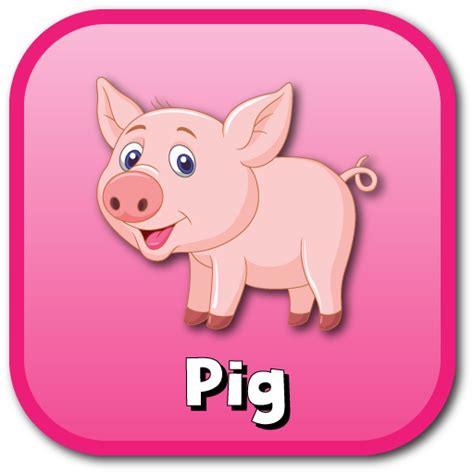 Animals Flashcards - Easy Notecards