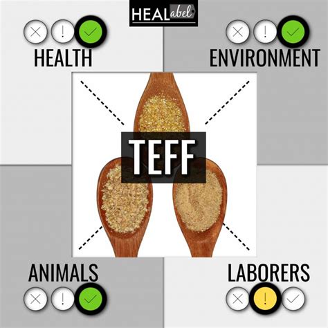 Teff Benefits and Side Effects