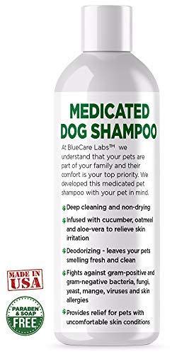 Medicated Dog Shampoo for Skin Allergies Chlorhexidine 4% Shampoo for Dogs With - Shampooing ...