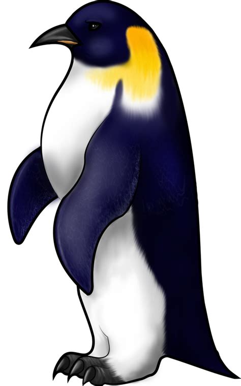 Clipart penquin arctic penguin, Picture #620768 clipart penquin arctic ...