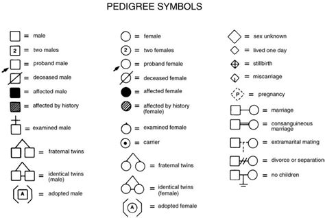 Symbols commonly used for pedigree analysis. | Pedigree chart, Nurse study notes, Family ...