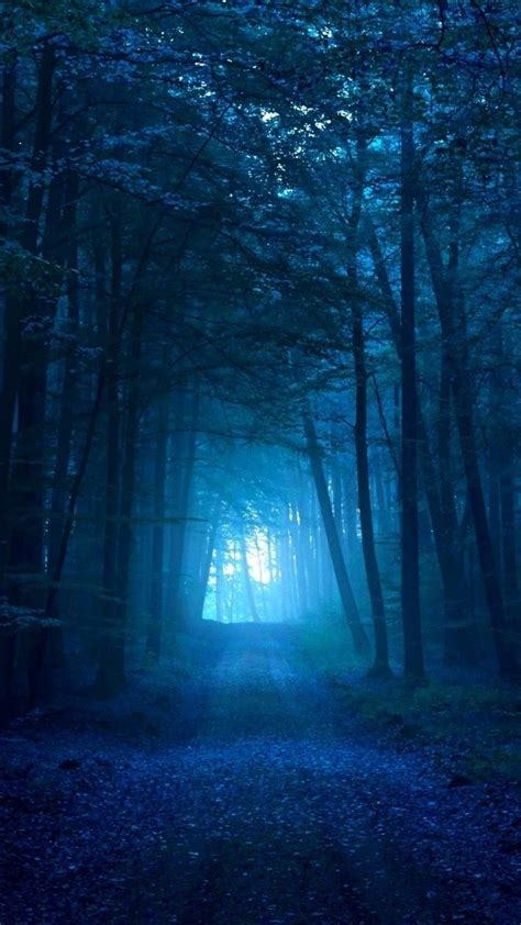 Blue Forest Wallpaper HD