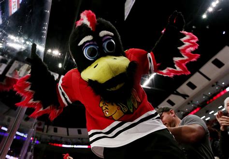 Chicago Blackhawks mascot Tommy Hawk Gets Into Fight With Fan