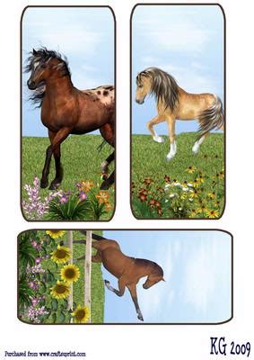 Horse Bookmarks - CUP18726_63 | Craftsuprint