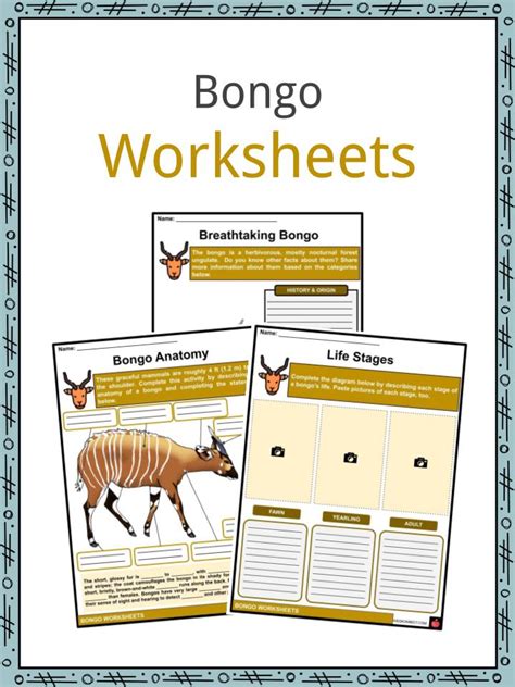 Bongo Facts, Worksheets, Taxonomy & Appearance For Kids