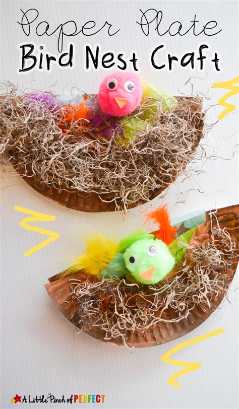 Bird And Nest Craft