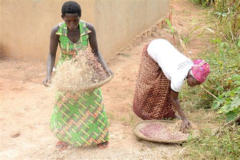 Open Field Day in Bugesera District, Rwanda 19-20th June 2… | Flickr