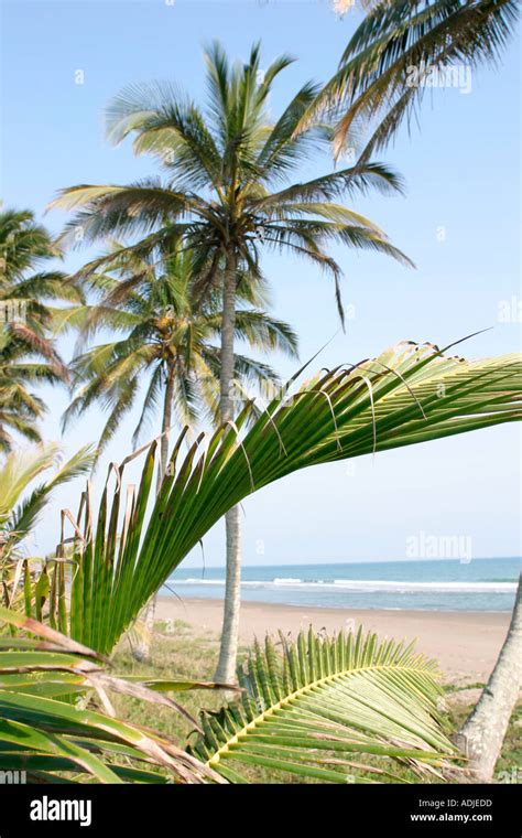 beach in Veracruz Mexico Stock Photo - Alamy