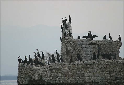 Lake Skadar: The Ultimate Guide