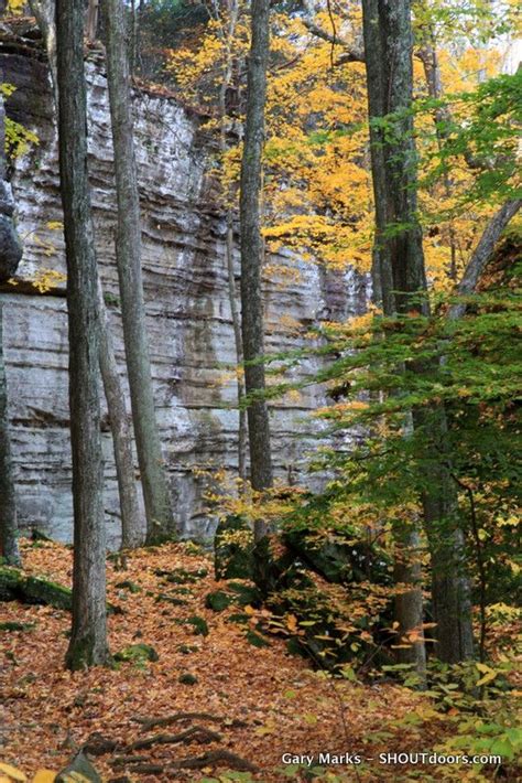 ferne clyffe state park | Ferne Clyffe State Park | Nature preserve, Nature inspiration, Back road