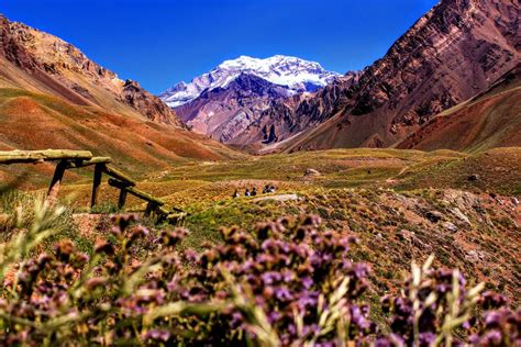 Argentina's National Wine Harvest Festival Is Back - Going Global TV