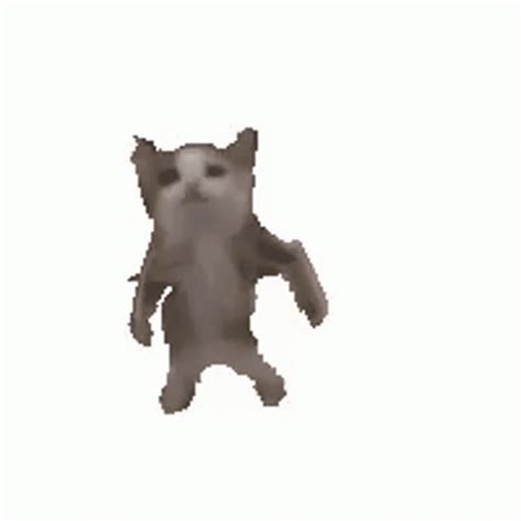 Cat Dancing GIF - Cat Dancing Gangnam Style - Discover & Share GIFs