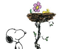 Snoopy Pictures, Photos, Images, and Pics for Facebook, Tumblr ...